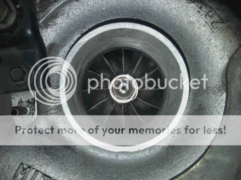 mms_picture-5.jpg