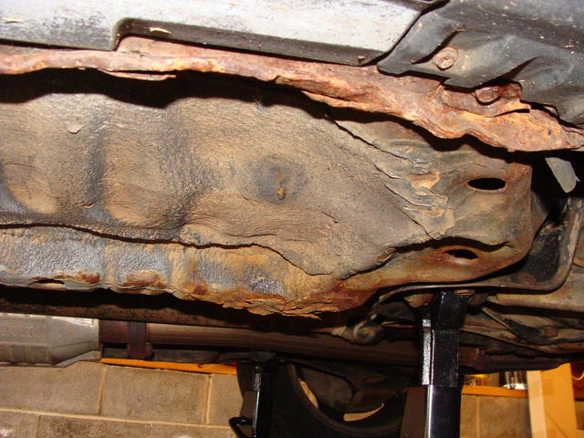 DSC02564.JPG