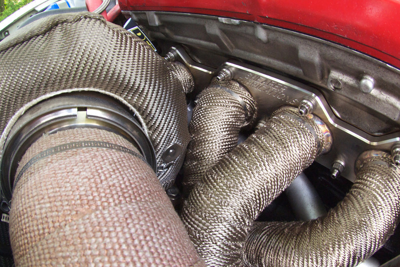 P5311596-L.jpg