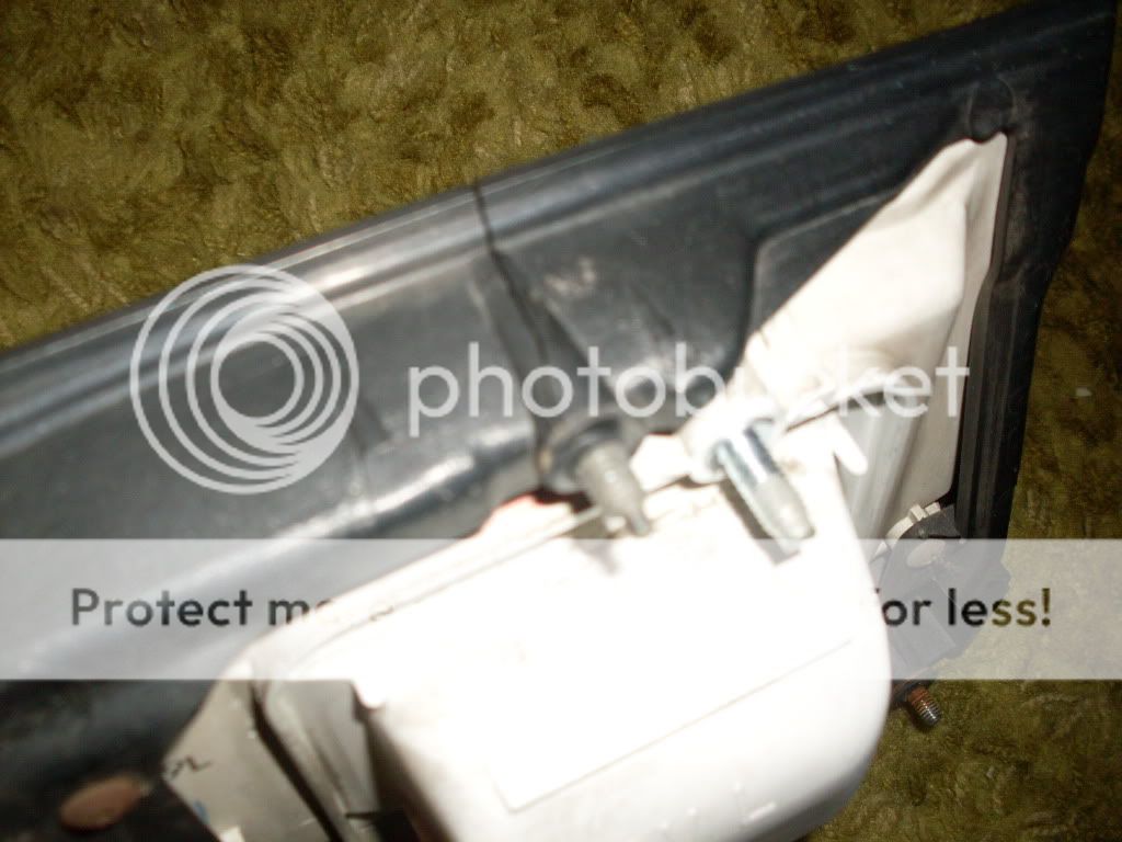 SDC11835.jpg