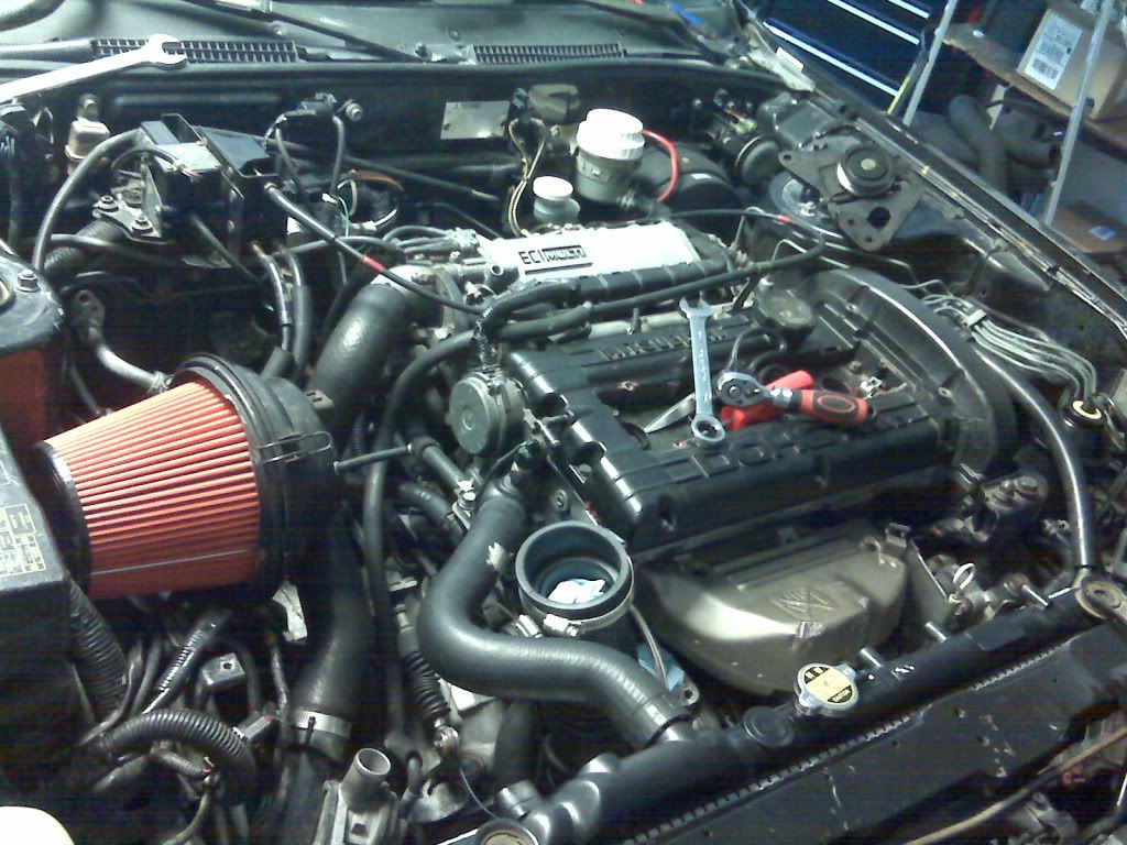 IMG00572-20100808-1428.jpg