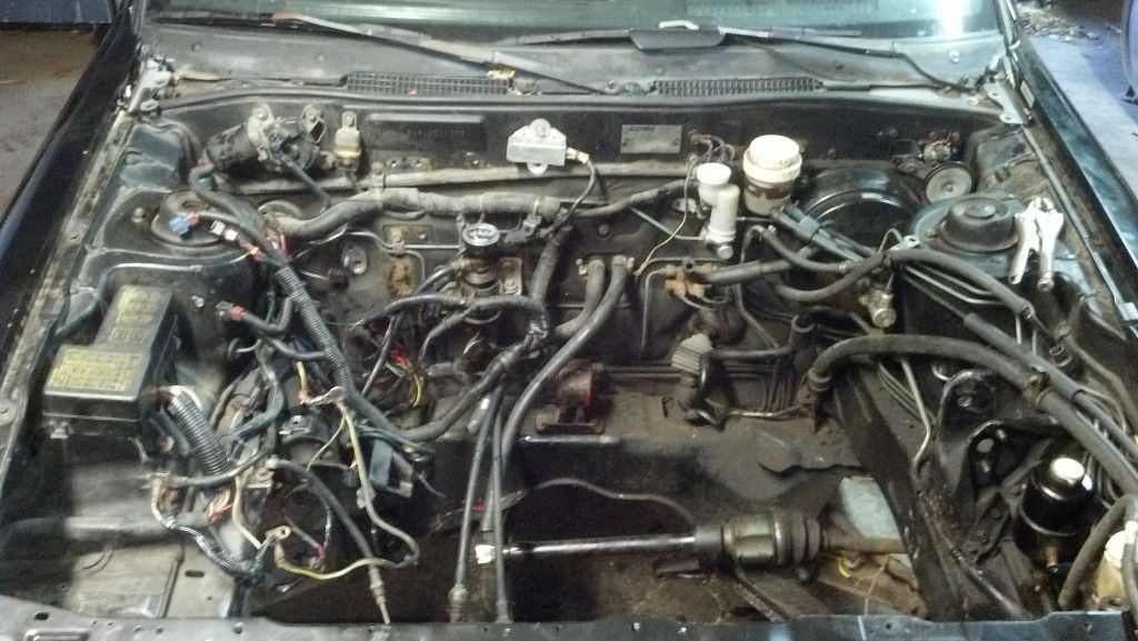 2012-10-20_17-29-50_625.jpg