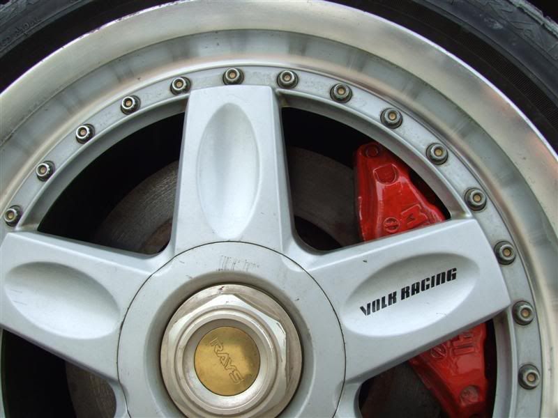 2006_12090007Medium.jpg