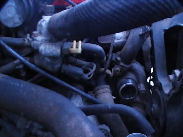 PIC_0389.jpg
