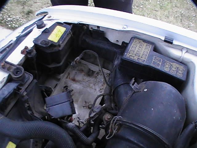 PIC_0385.jpg