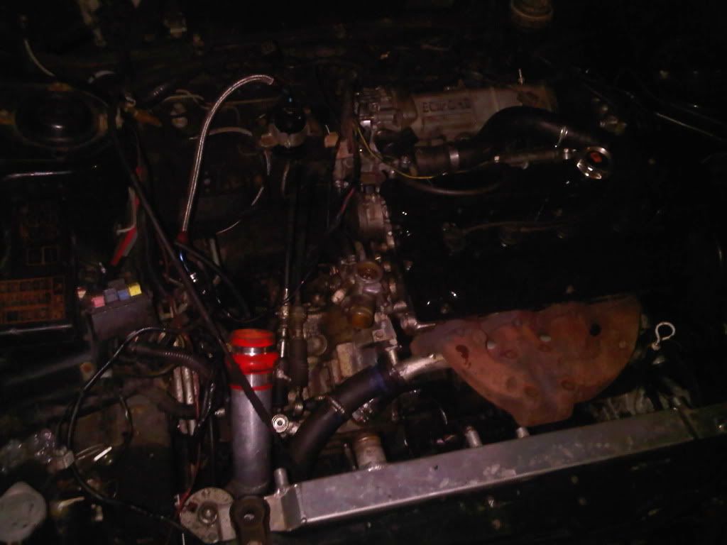 IMG01003-20130311-1939_zps60dbbbc9.jpg