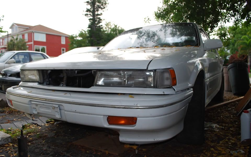 galant0015.jpg