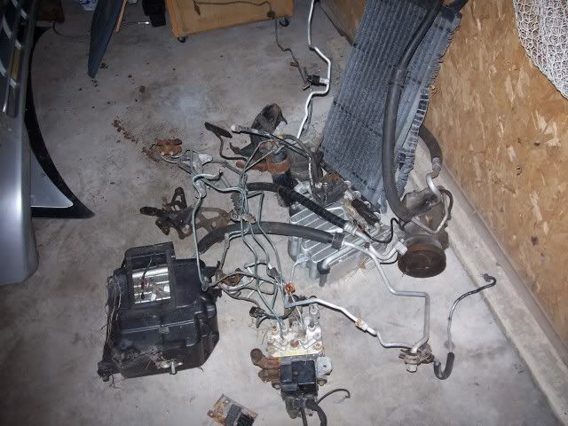009-7.jpg
