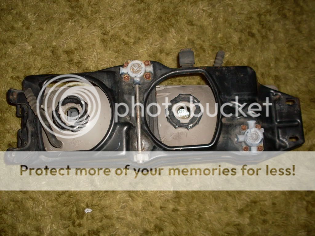 SDC11845.jpg