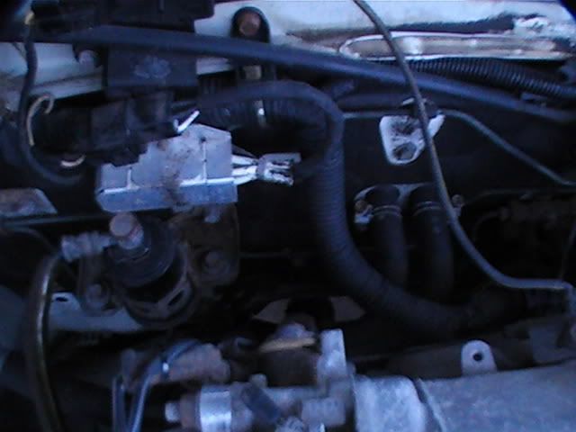 PIC_0390.jpg