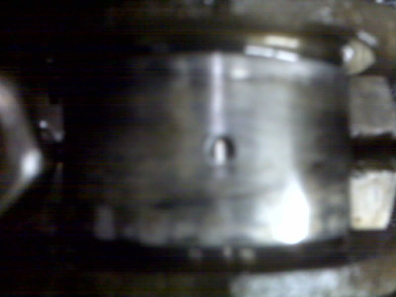 IMG01230.jpg
