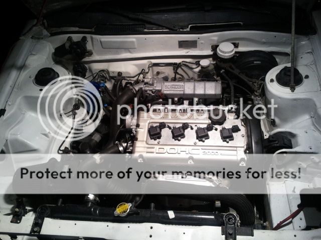 2013-03-06190423_zps7b2cb4e8.jpg