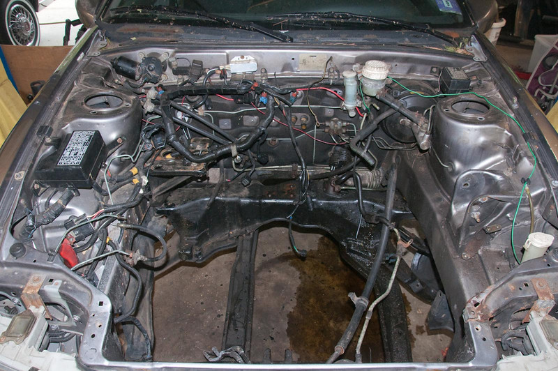 882690641_sLwzG-L.jpg