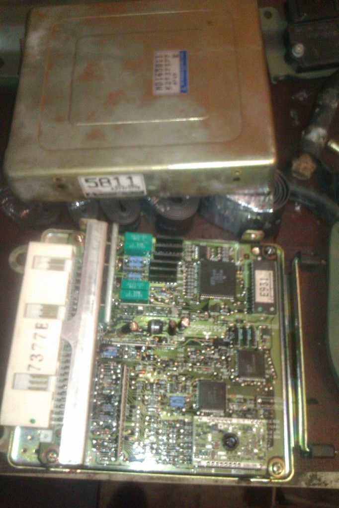 IMAG0529.jpg