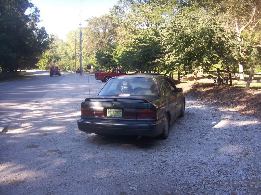 100_6954.jpg