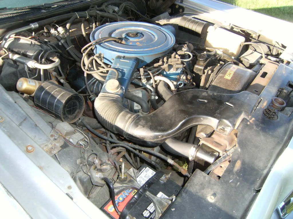 DSCF2130.jpg