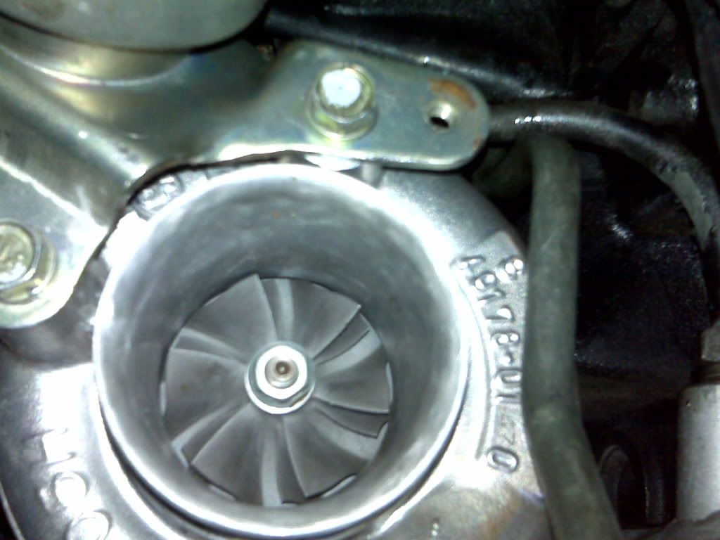 IMG00683-20100831-1822.jpg