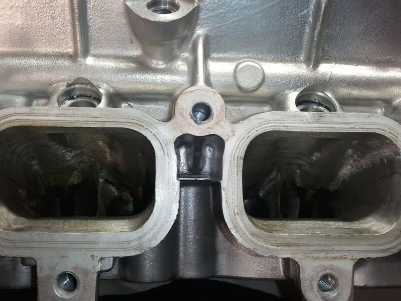 2011-01-08183537.jpg