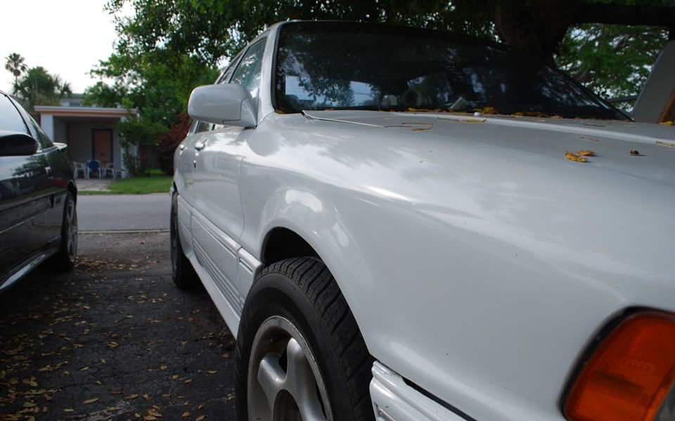 galant0014.jpg