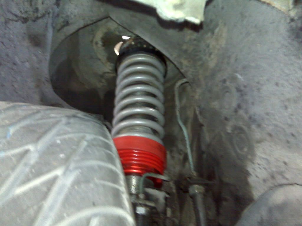 IMG00697-20100902-1622.jpg