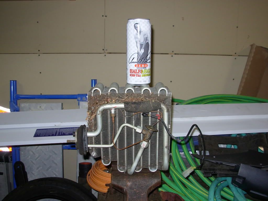 DSCN3166.jpg