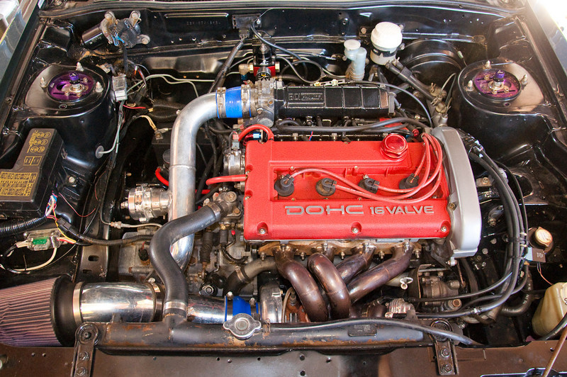 834865315_ste6y-L.jpg