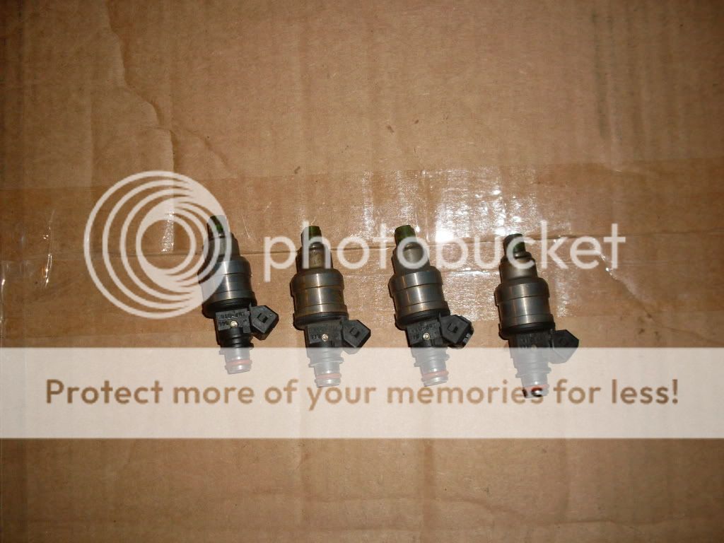 SDC11877.jpg