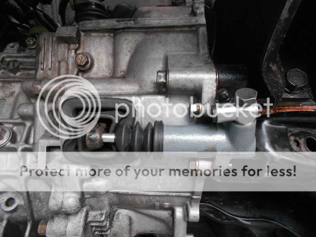 DSCN1457.jpg