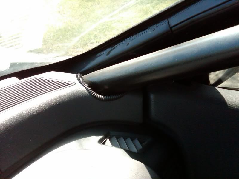 IMG00233-20090412-1212.jpg