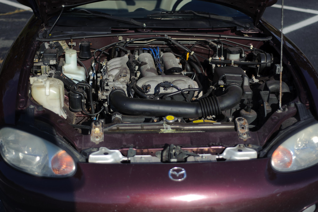1051772816_GJCxT-XL.jpg