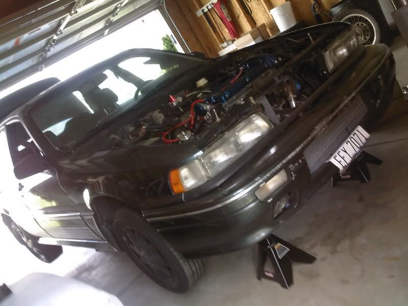 vr4.jpg