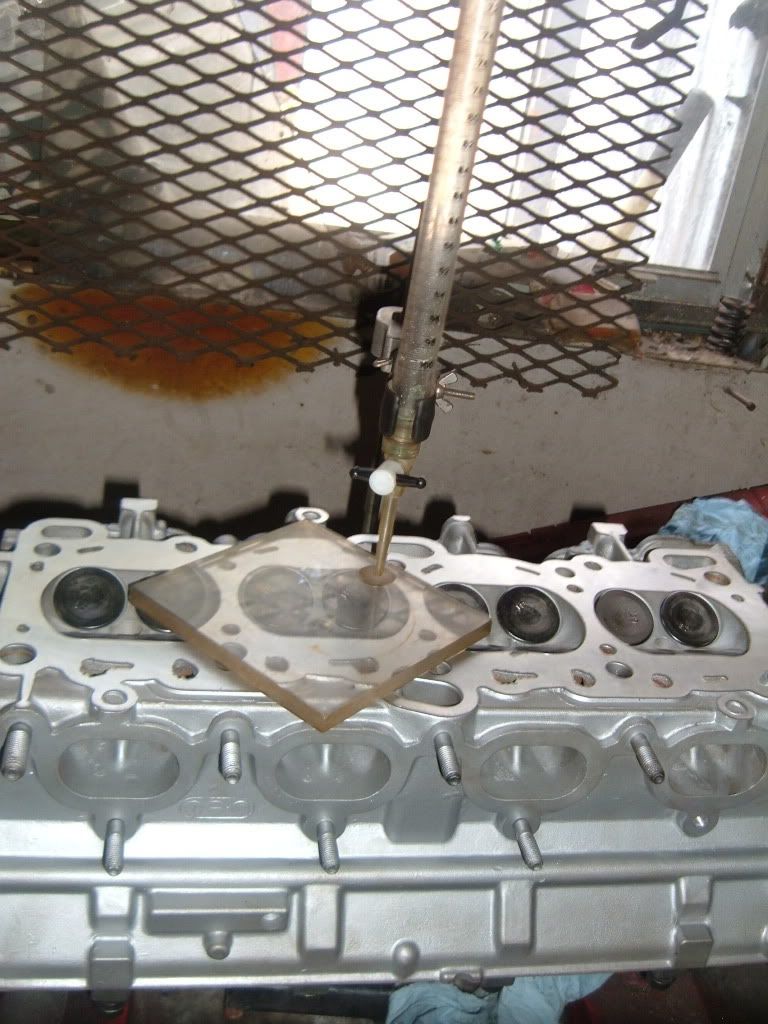 DSCF5560.jpg