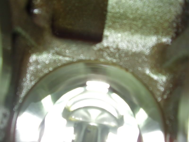 PB240173.jpg