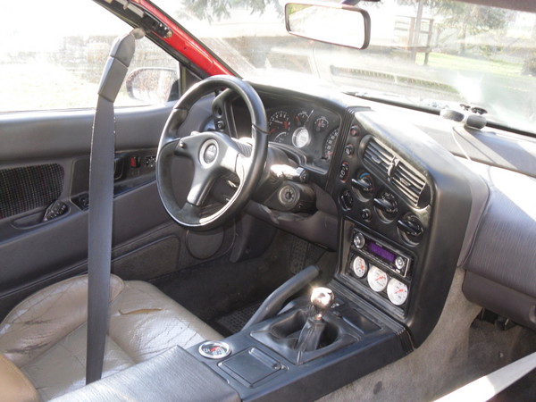 SDC13008.JPG