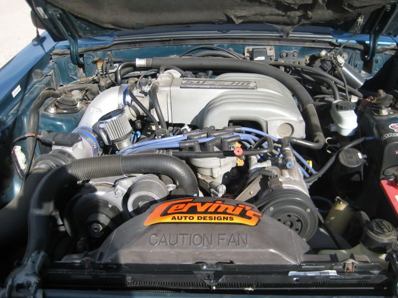 car011.jpg
