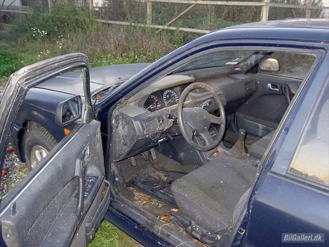 1390863_l_640x480.jpg