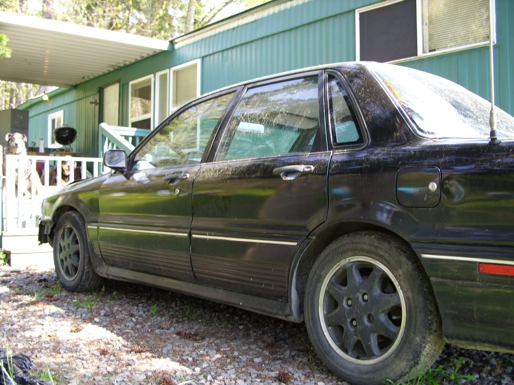 SS850061.jpg