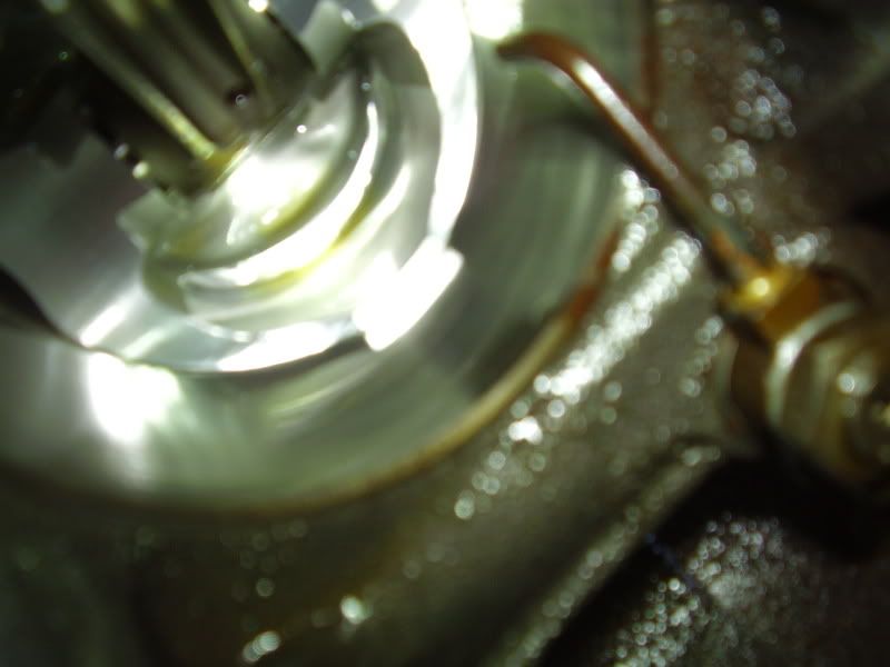 PB240172-1.jpg