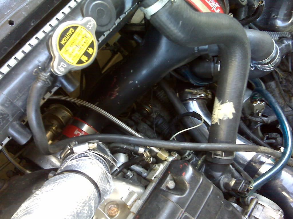 IMG00722-20100906-1649.jpg