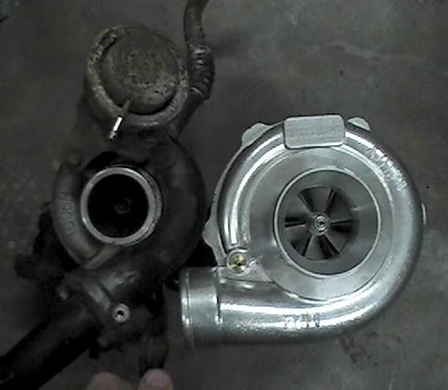 PIC_0435.jpg