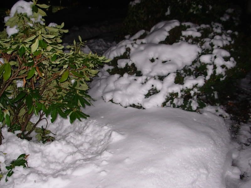 DSCN1835.jpg