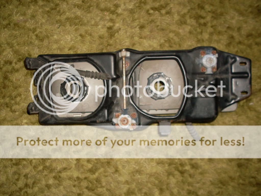 SDC11846.jpg