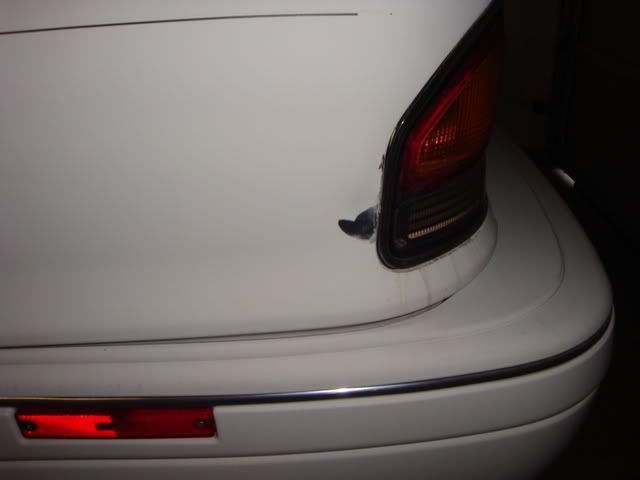 DSC00295.jpg