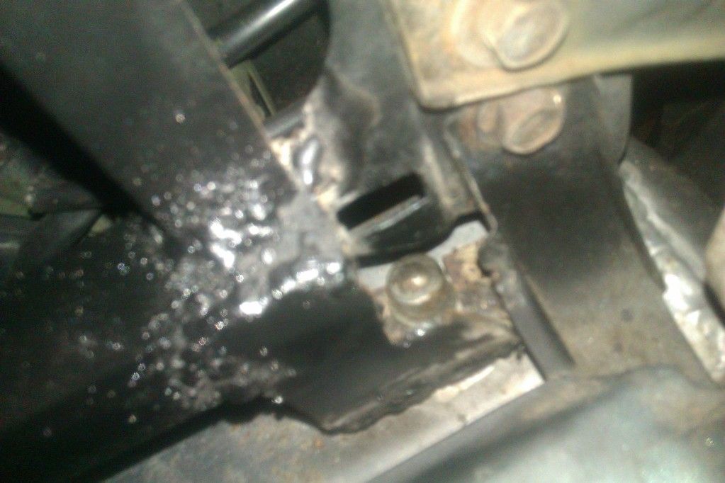 IMAG0761.jpg