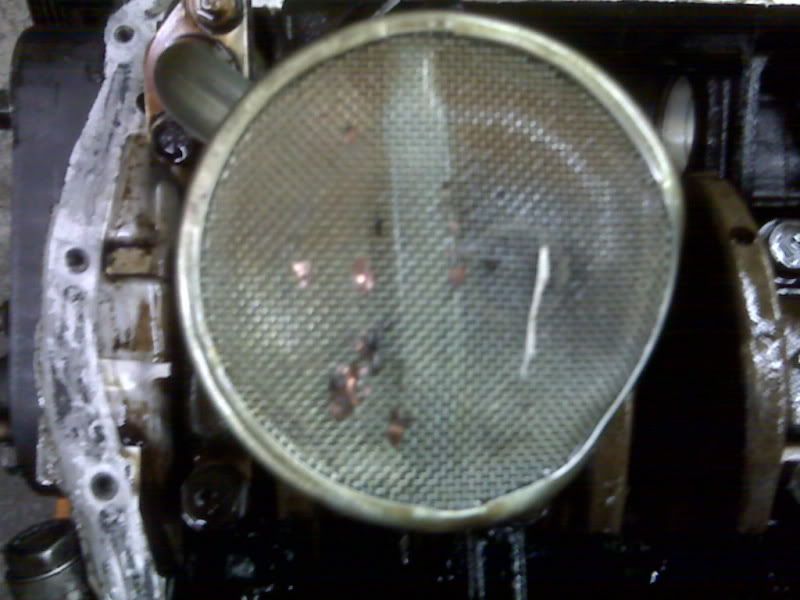 IMG01226.jpg