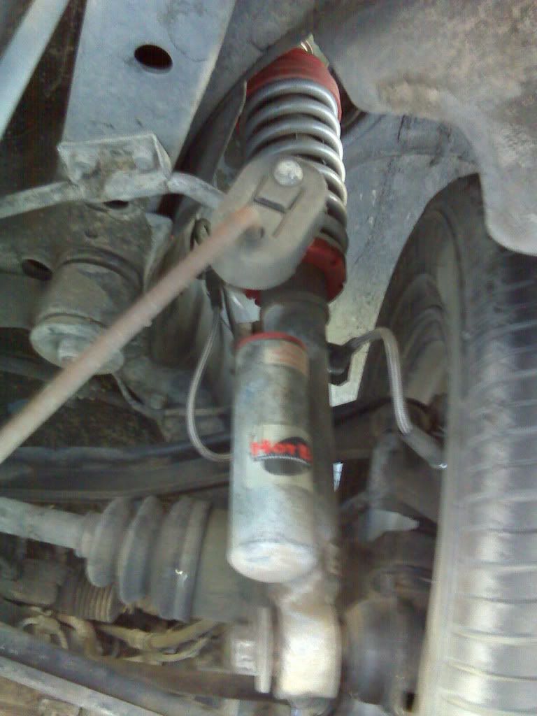IMG00698-20100902-1623.jpg