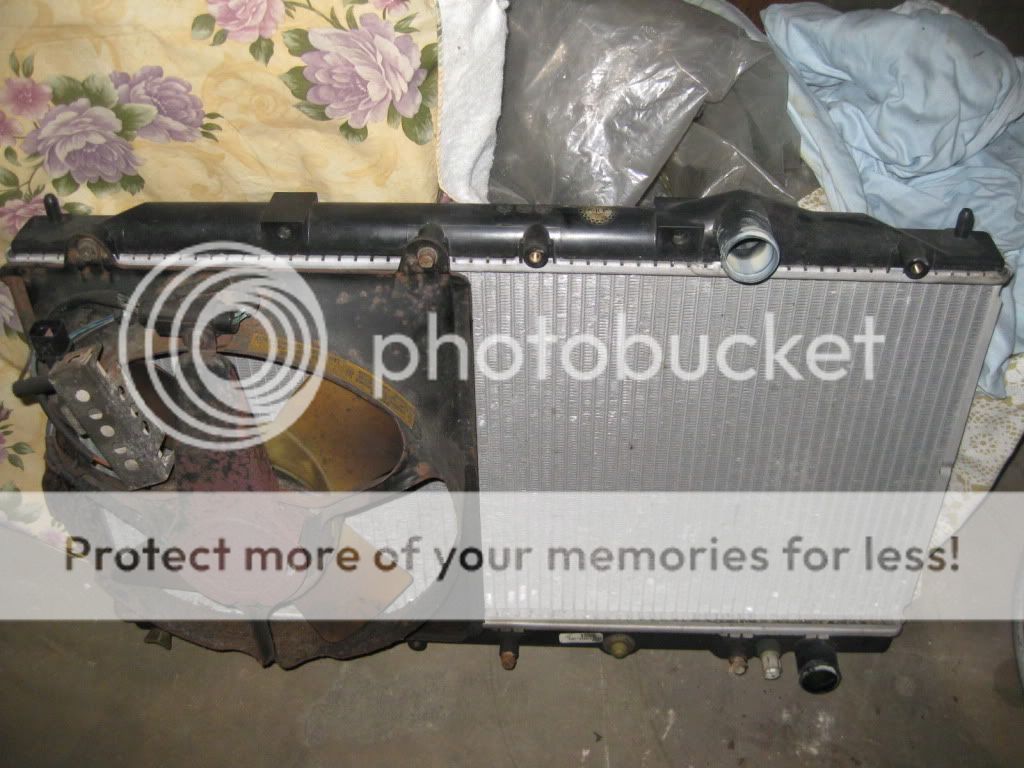 IMG_2074.jpg