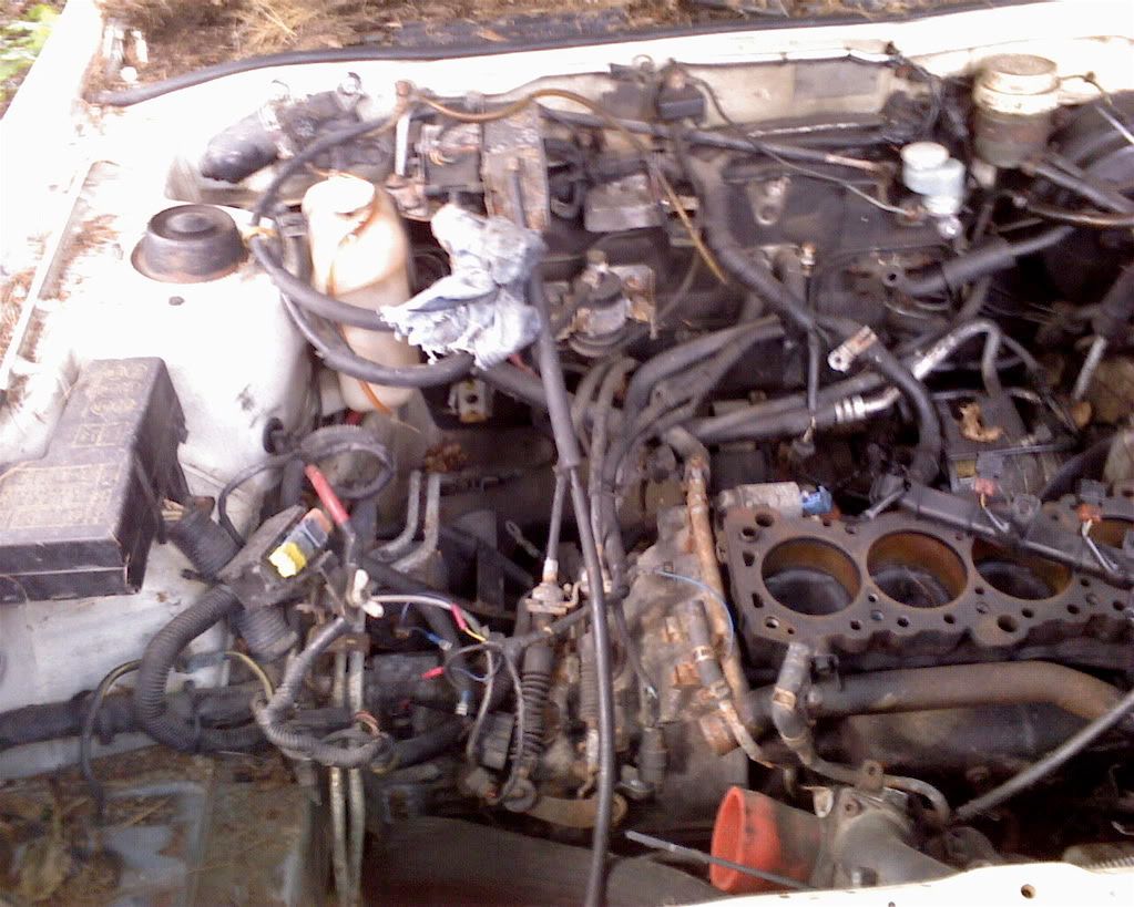 galantenginebay.jpg