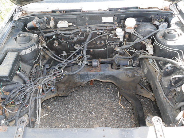 P1160826-M.jpg