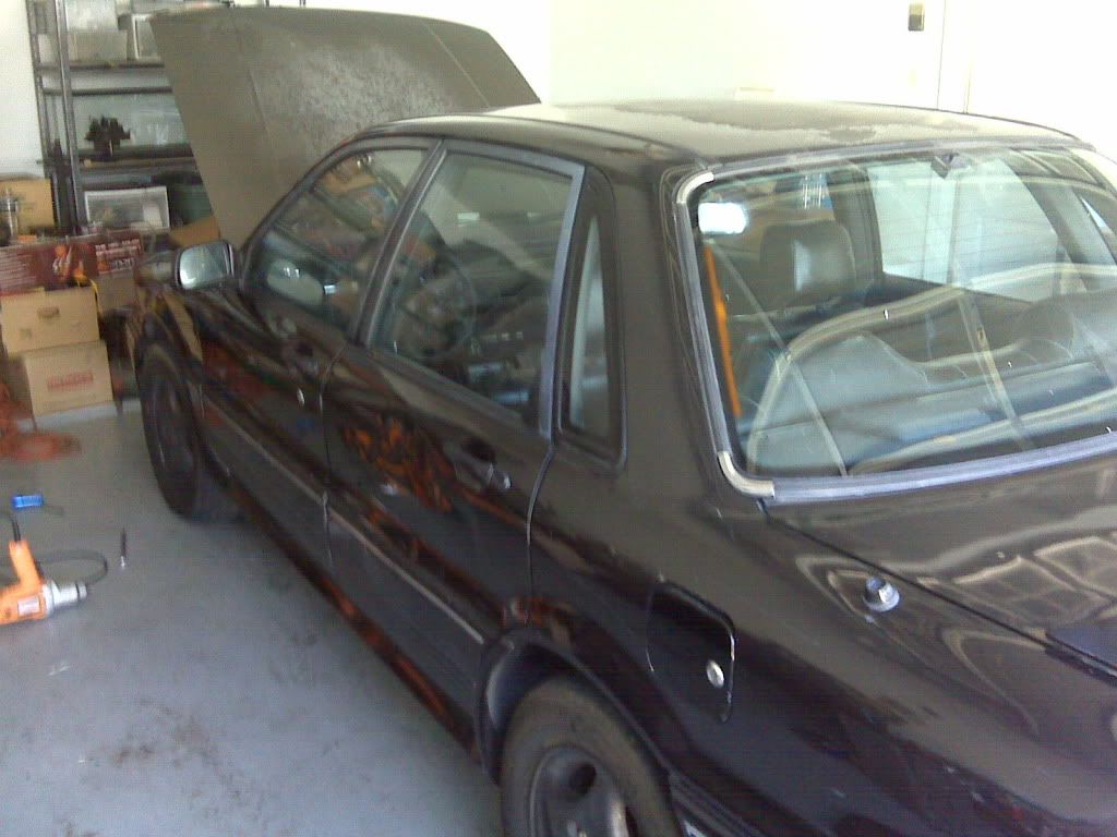 IMG00515-20100729-1439.jpg
